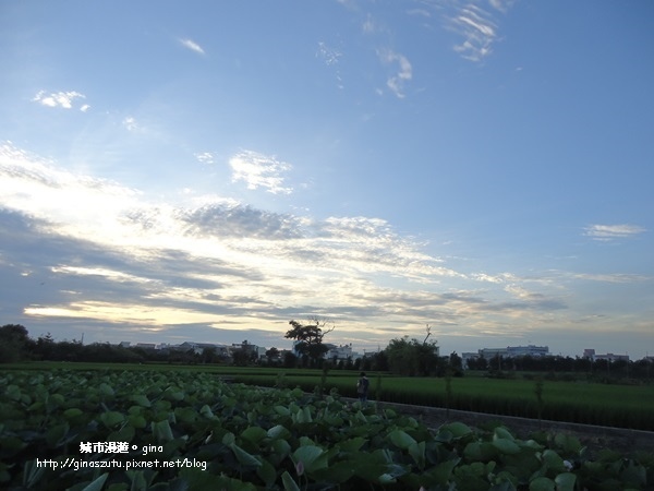 DSC03176.JPG DSC03176.JPG