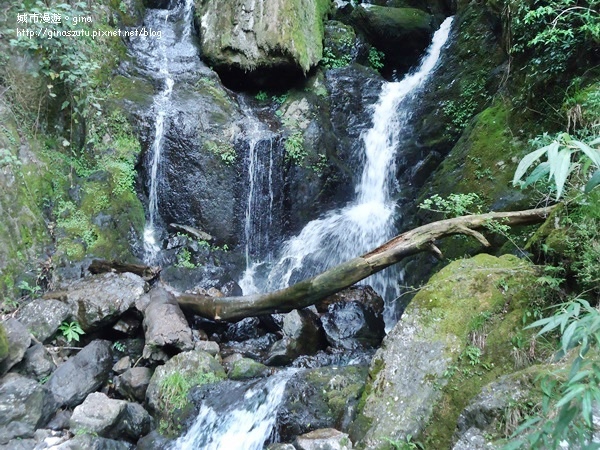 DSC03646.JPG DSC03646.JPG