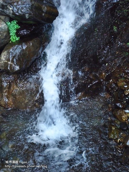 DSC03647.JPG DSC03647.JPG