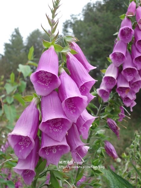 DSC03673.JPG DSC03673.JPG