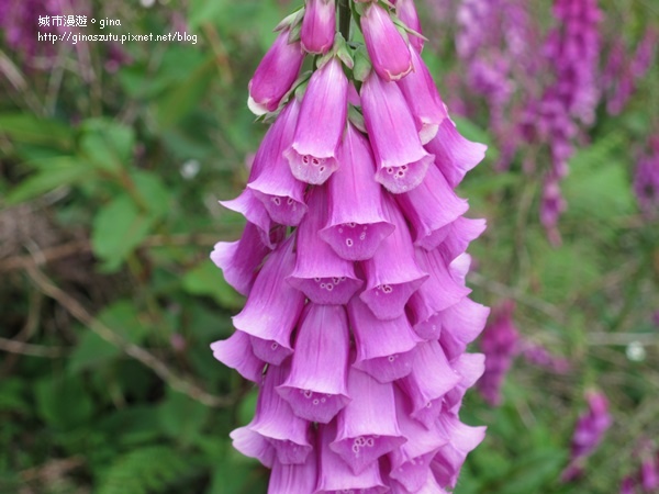 DSC03674.JPG DSC03674.JPG