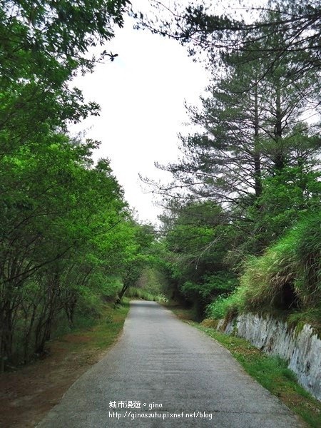 DSC03677.JPG DSC03677.JPG