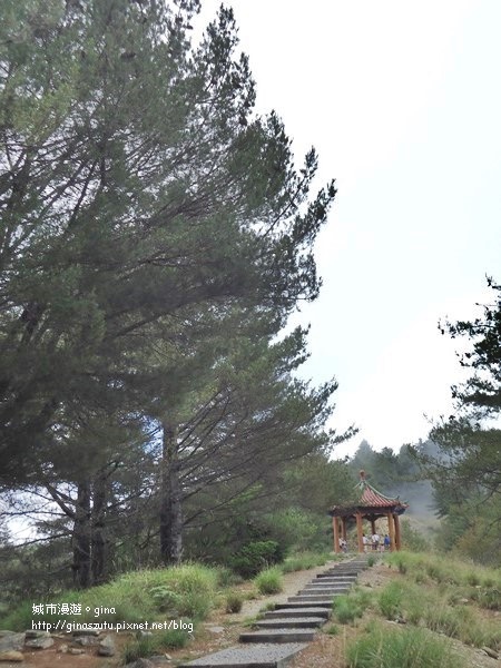 DSC03689.JPG DSC03689.JPG