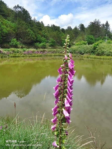 DSC03693.JPG DSC03693.JPG