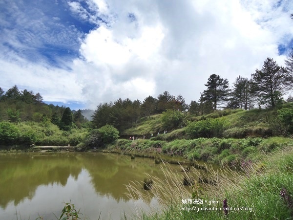 DSC03697.JPG DSC03697.JPG