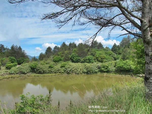 DSC03698.JPG DSC03698.JPG