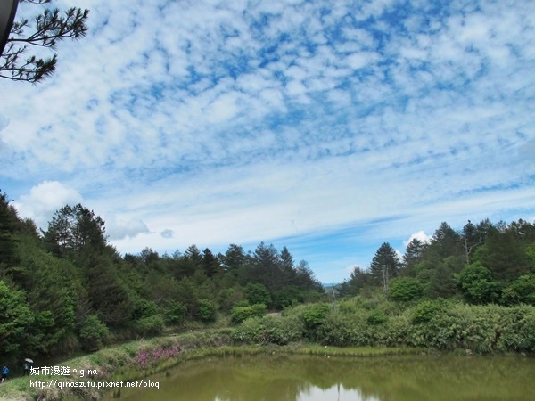 DSC03699.JPG DSC03699.JPG