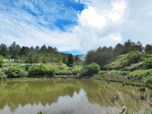 IMG_0036.JPG IMG_0036.JPG