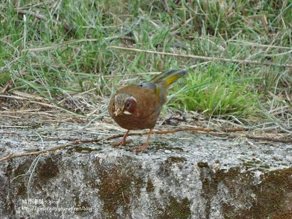 DSC03691.JPG DSC03691.JPG