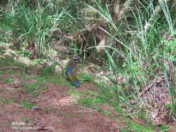 DSC03692.JPG DSC03692.JPG