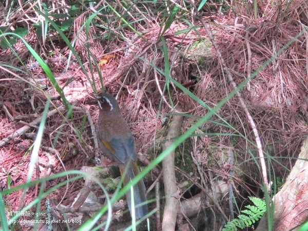 DSC03693.JPG DSC03693.JPG