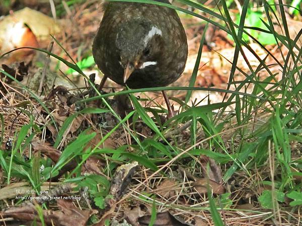 DSC03694.JPG DSC03694.JPG