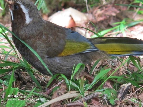 DSC03695.JPG DSC03695.JPG