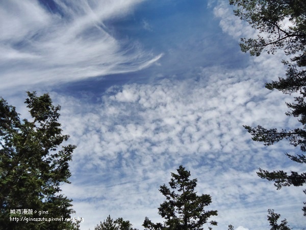 DSC03697.JPG DSC03697.JPG