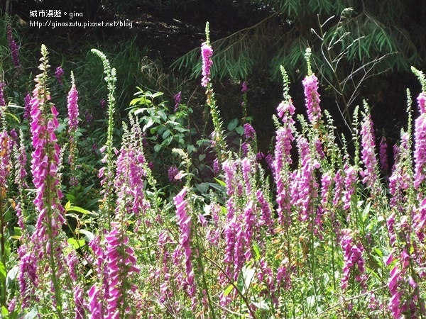 DSC03698.JPG DSC03698.JPG