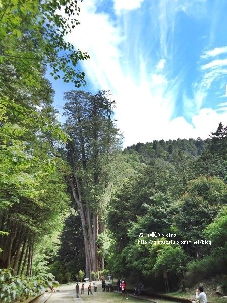 DSC03701.JPG DSC03701.JPG