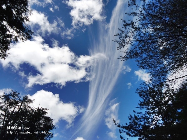 DSC03724.JPG DSC03724.JPG