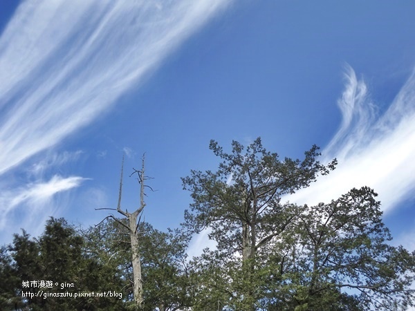 DSC03726.JPG DSC03726.JPG