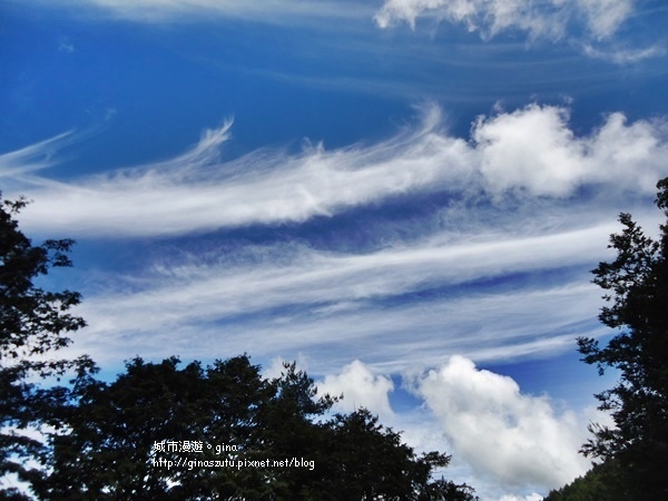 DSC03728.JPG DSC03728.JPG