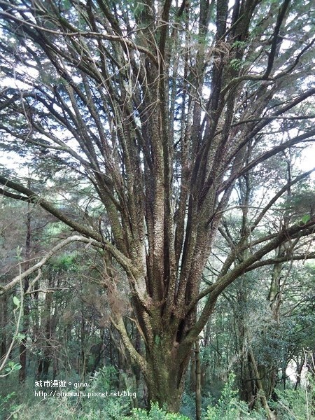 DSC03732.JPG DSC03732.JPG