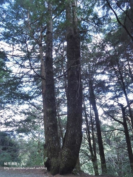 DSC03736.JPG DSC03736.JPG