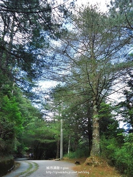 DSC03741.JPG DSC03741.JPG