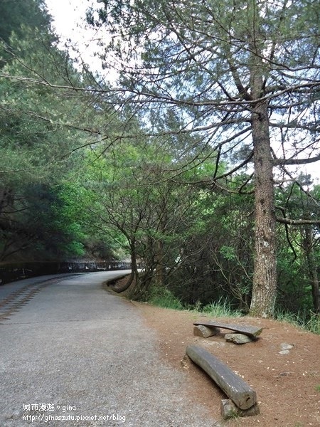 DSC03742.JPG DSC03742.JPG