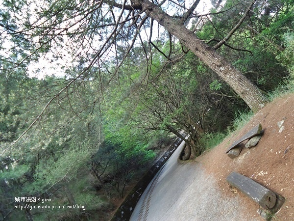 DSC03743.JPG DSC03743.JPG