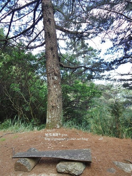 DSC03744.JPG DSC03744.JPG