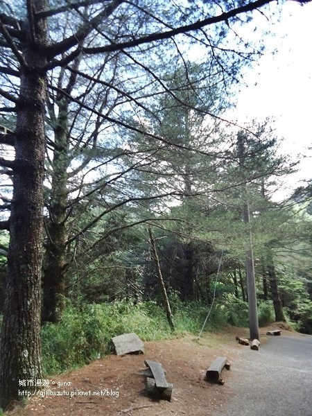 DSC03747.JPG DSC03747.JPG