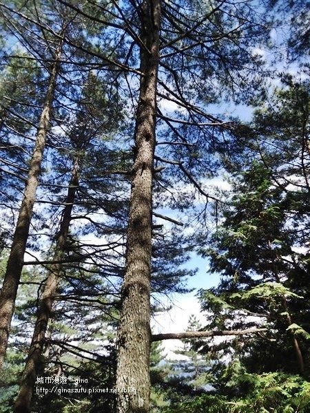 DSC03752.JPG DSC03752.JPG