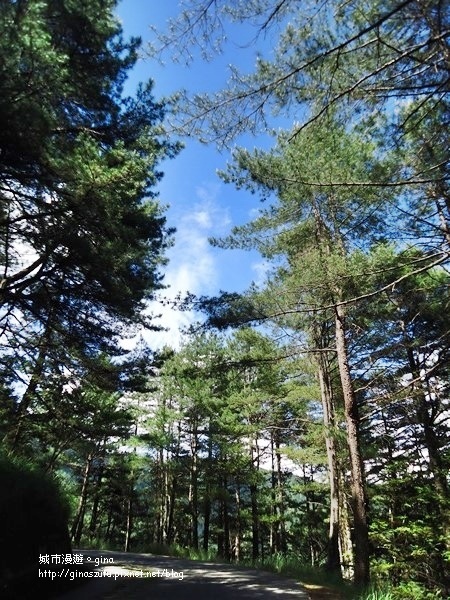 DSC03753.JPG DSC03753.JPG