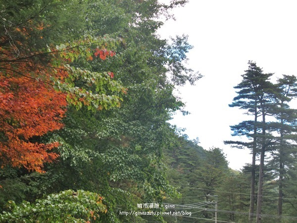 IMG_0471.JPG IMG_0471.JPG