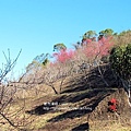 IMG_0020.JPG