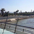 20170128_121603.jpg
