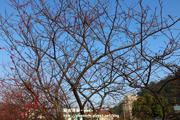IMG_3048.JPG IMG_3048.JPG
