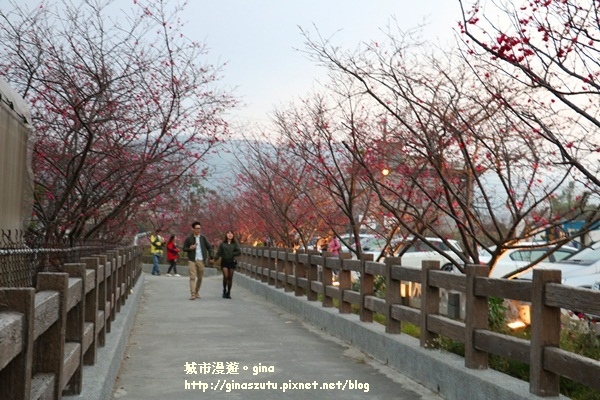 IMG_3218.JPG IMG_3218.JPG
