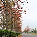 IMG_5089.JPG