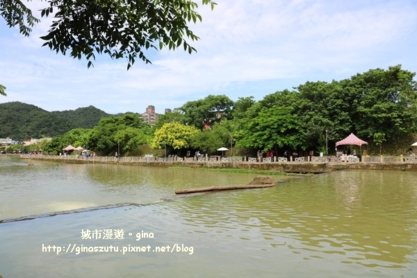 IMG_8780.JPG IMG_8780.JPG