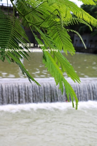 IMG_8789.JPG IMG_8789.JPG
