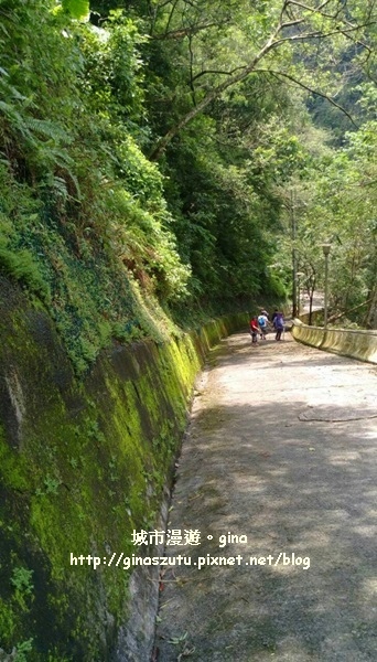 IMG_9331.jpg IMG_9331.jpg