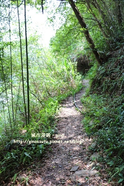 IMG_9341.JPG IMG_9341.JPG