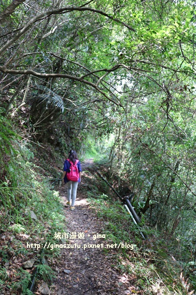 IMG_9342.JPG IMG_9342.JPG