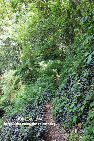 IMG_9346.JPG IMG_9346.JPG