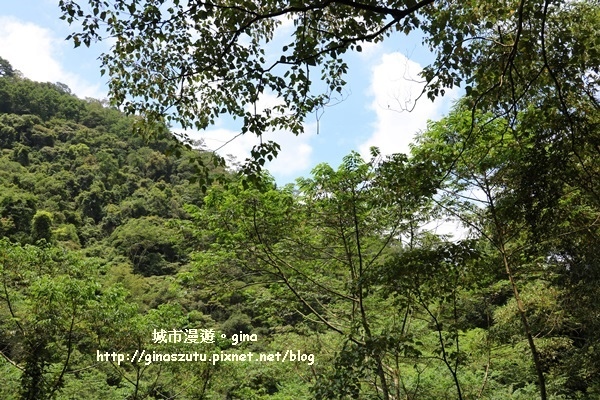 IMG_9348.JPG IMG_9348.JPG