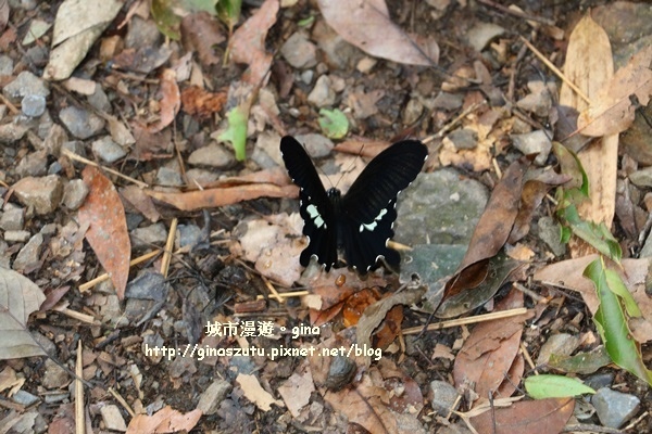 IMG_9415.JPG IMG_9415.JPG