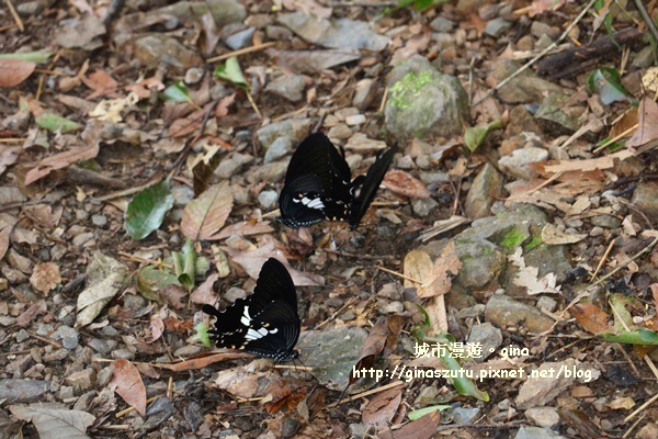 IMG_9416.JPG IMG_9416.JPG