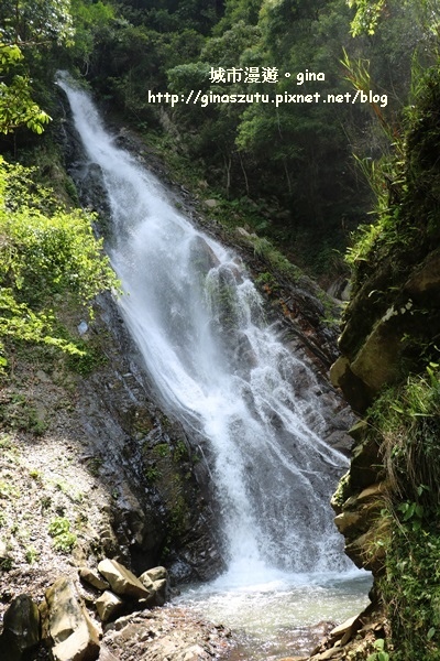 IMG_9251.JPG IMG_9251.JPG