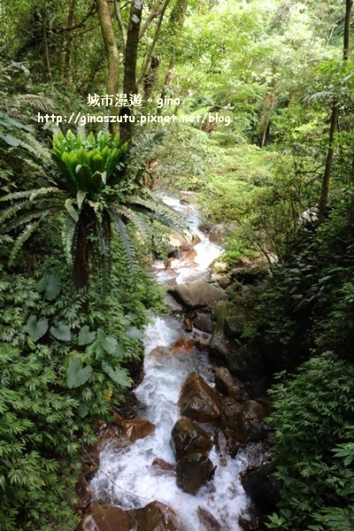 IMG_9370.JPG IMG_9370.JPG