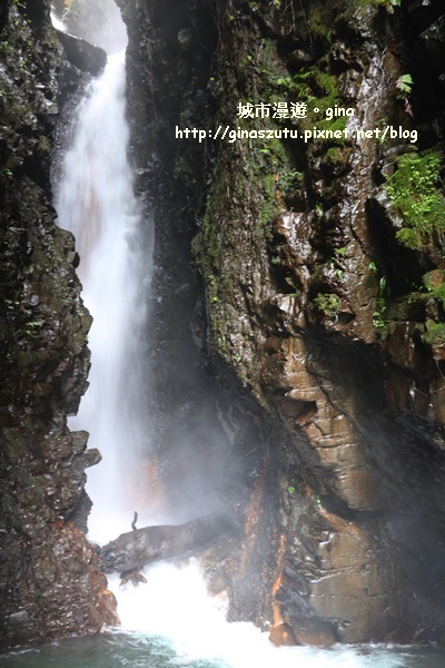 IMG_9394.JPG IMG_9394.JPG